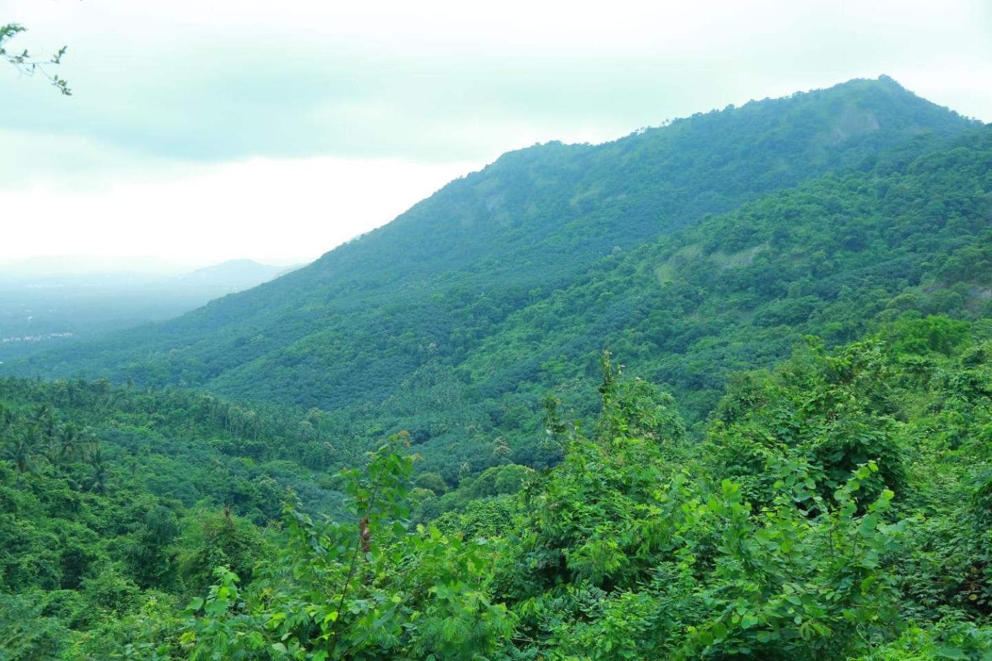 Whiteflower Mountain Resort Perintalmanna ภายนอก รูปภาพ